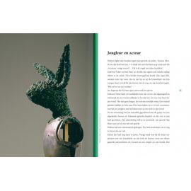 prachtig kunstboek 'De kleine fabre'